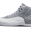 Air Jordan 12 Stealth