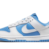 Nike Dunk Low Reverse UNC
