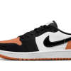 Air Jordan 1 Retro Low Golf Shattered Backboard